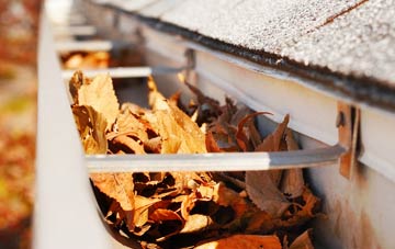 Cuckoo Green gutter cleaning companies