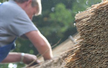 professional Cuckoo Green thatchers