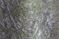 Cuckoo Green fibreglass roof work