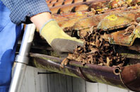 Cuckoo Green gutter cleaners