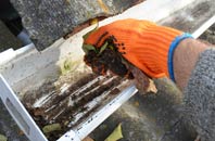 rated Cuckoo Green gutter cleaning companies