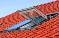 Cuckoo Green roof window