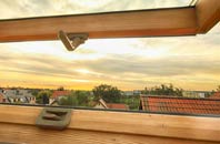 rated Cuckoo Green roof window companies
